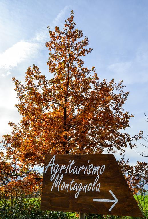 Agriturismo Montagnola Abruzzo Villa Casalanguida Eksteriør billede