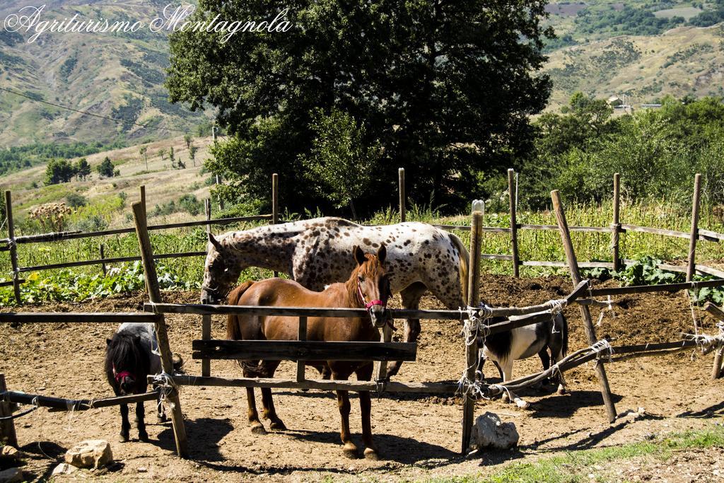 Agriturismo Montagnola Abruzzo Villa Casalanguida Eksteriør billede
