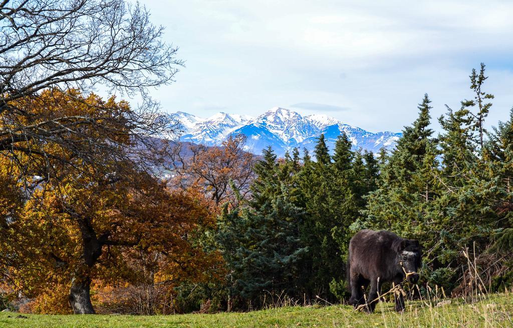 Agriturismo Montagnola Abruzzo Casalanguida Eksteriør billede